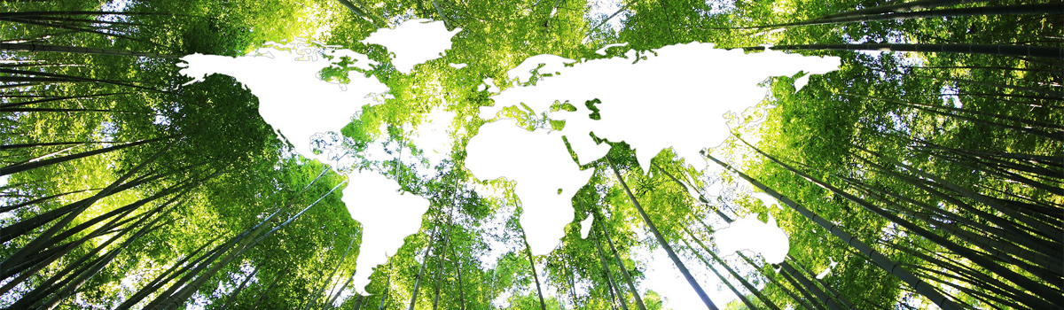 政府（社会）风险解决方案