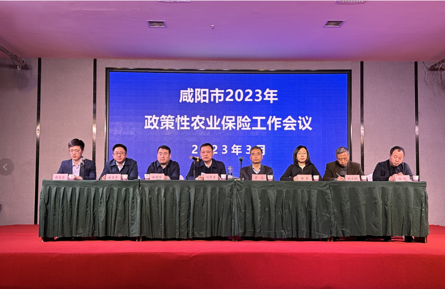 20230302/64006293d83b7.png 20230302/64006293d83b7.png